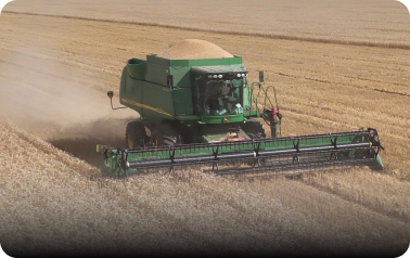 Растениеводство